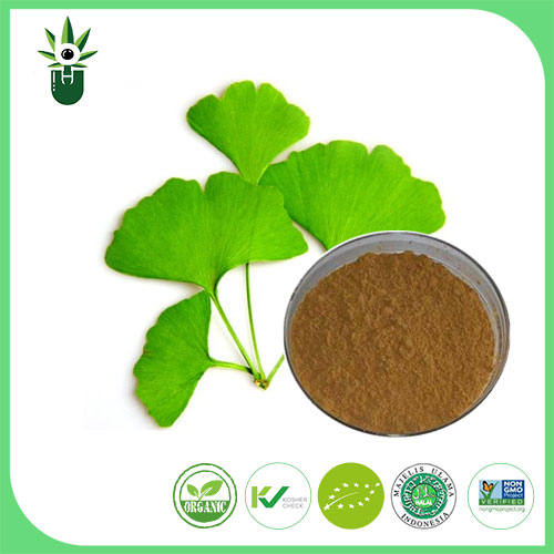 Cad iad na hairíonna is féidir le Ginkgo biloba duille a úsáid chun maolú a dhéanamh?