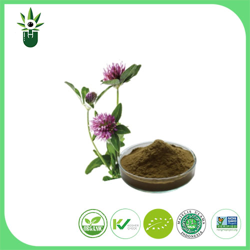 Medicago sativa L Sliocht