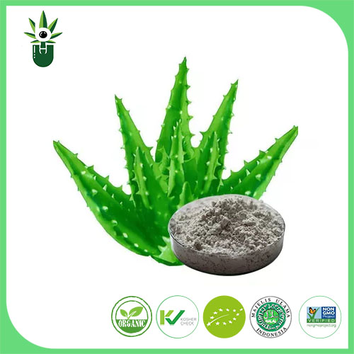 Sliocht Aloe Vera