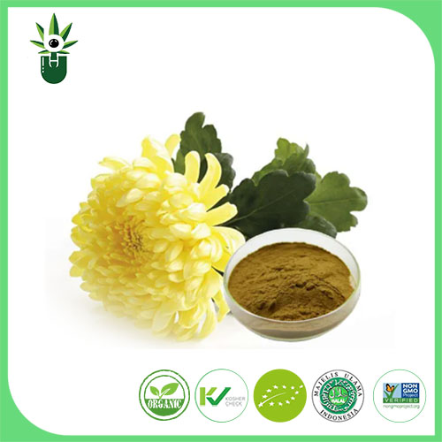 Sliocht Chrysanthemum