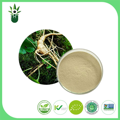 Sliocht Ginseng