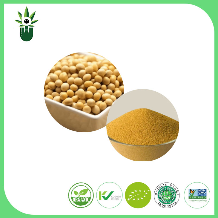 Púdar Sliocht Pónaire soighe neamh-GMO 90% isoflavones soighe